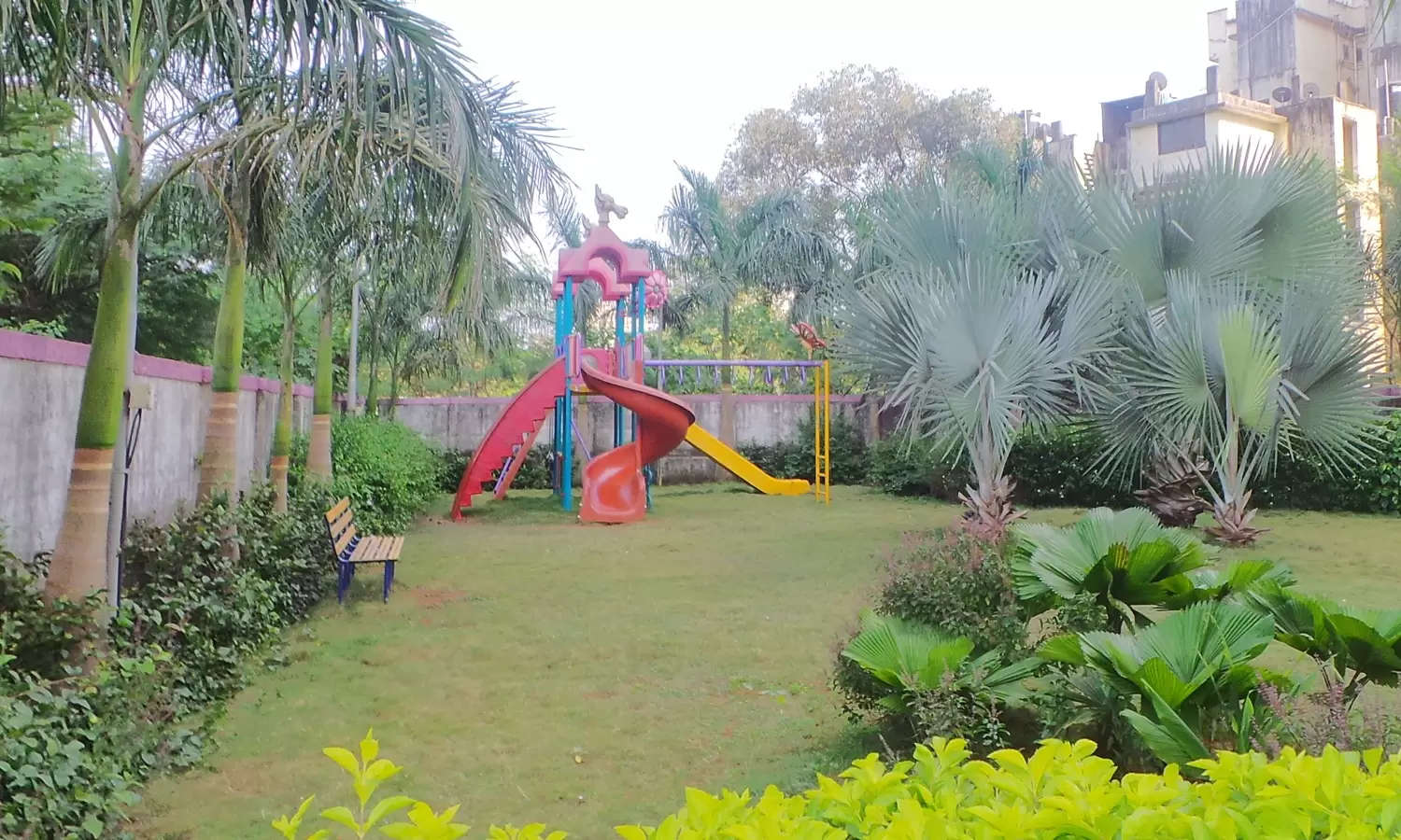 Play Area