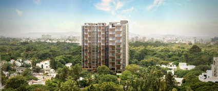 Marvel Basilo Koregaon Park