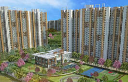 amrapali-dream valley