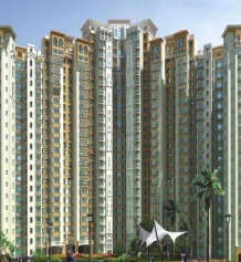 amrapali-sapphire