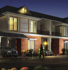 prestige-summer fields