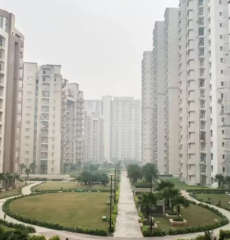 supertech-czar suites