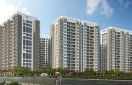 pride-purple park connect