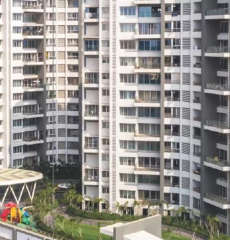 pride-purple park grandeur