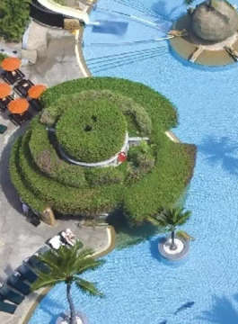 amrapali-tropical garden