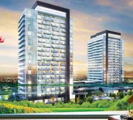 amrapali-tropical garden