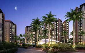 Pride Purple Park Ivory Wakad