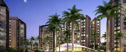 Pride Purple Park Ivory Wakad