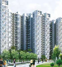 amrapali-o2 valley