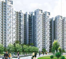 amrapali-o2 valley