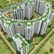 sikka-kaamna greens