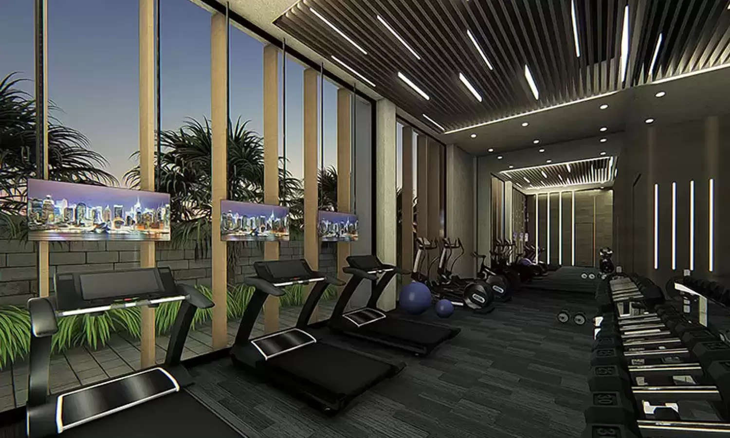 Gym