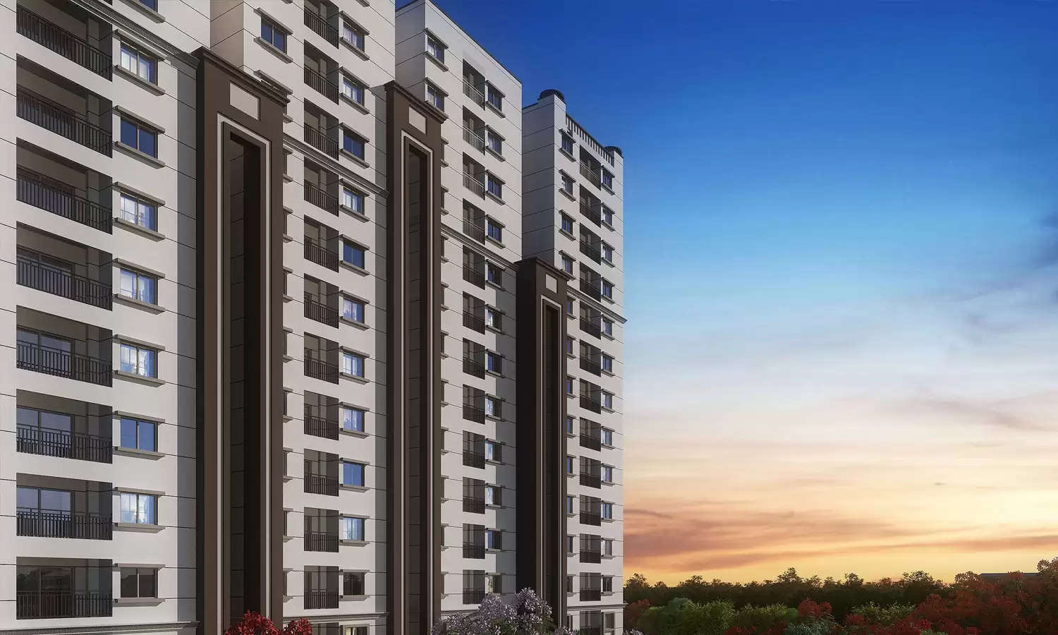 Elevation Image
