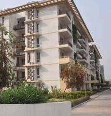 jaypee-augusta town home