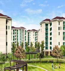 jaypee-kassia