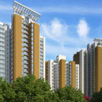 jaypee-aman