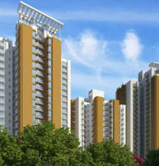 jaypee-aman