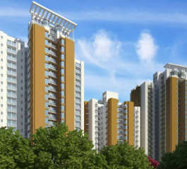 jaypee-aman