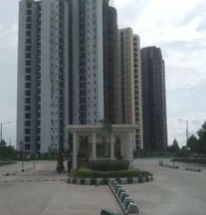jaypee-aman