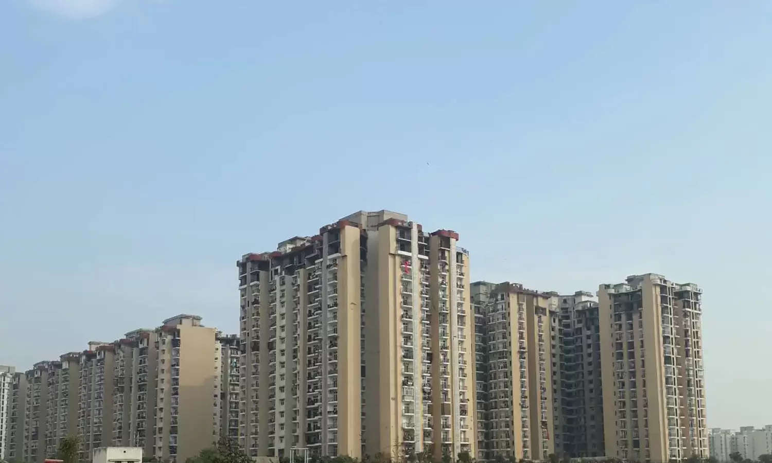 Amrapali Zodiac