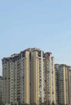 Amrapali Zodiac