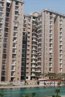 Amrapali Zodiac