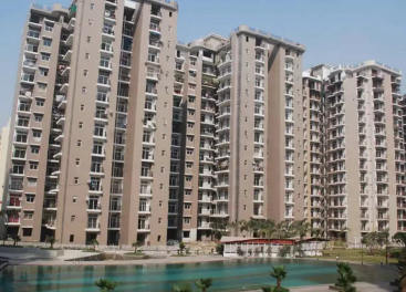 Amrapali Zodiac
