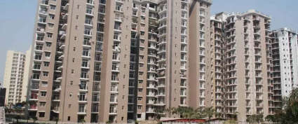 Amrapali Zodiac Sector 120