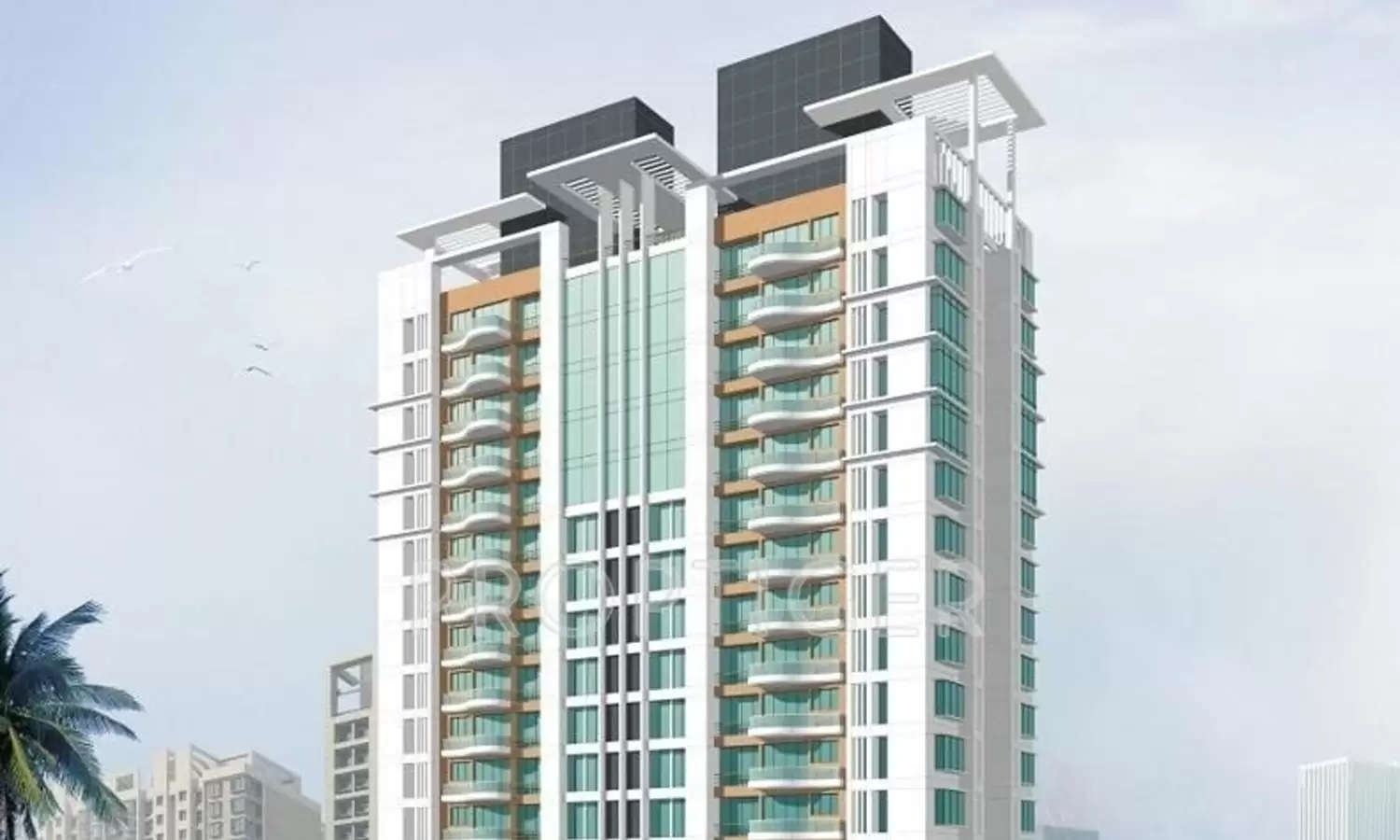 Elevation Image