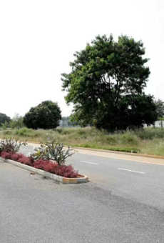 Century Sports Village