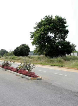 century-sports village