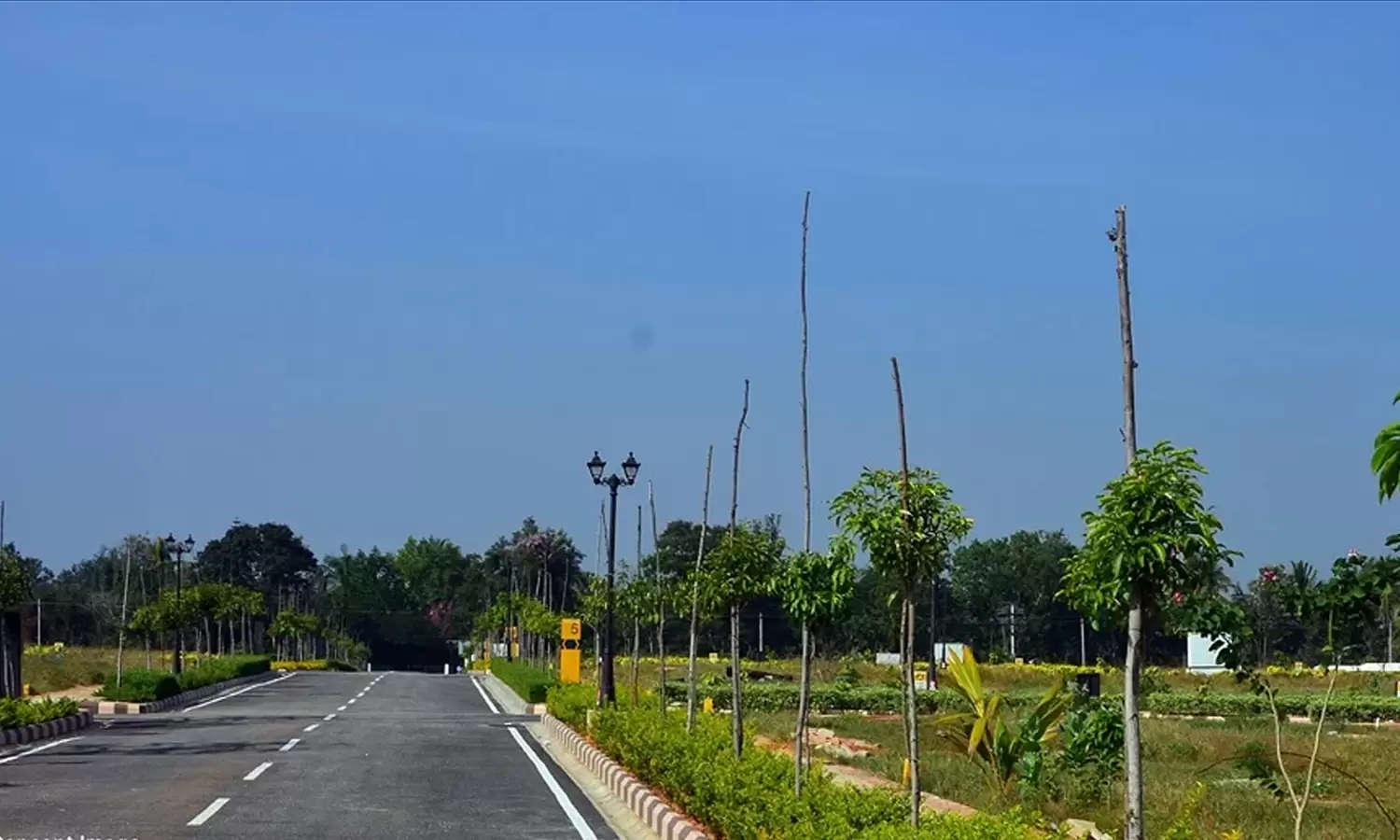 Project Front View