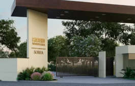 chartered-woodpecker