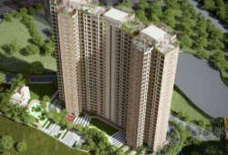 raunak-codename hundred percent