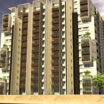 ds-max skygrand