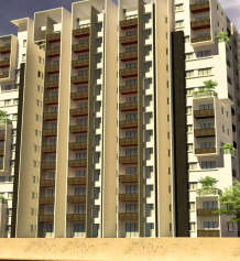 ds-max skygrand