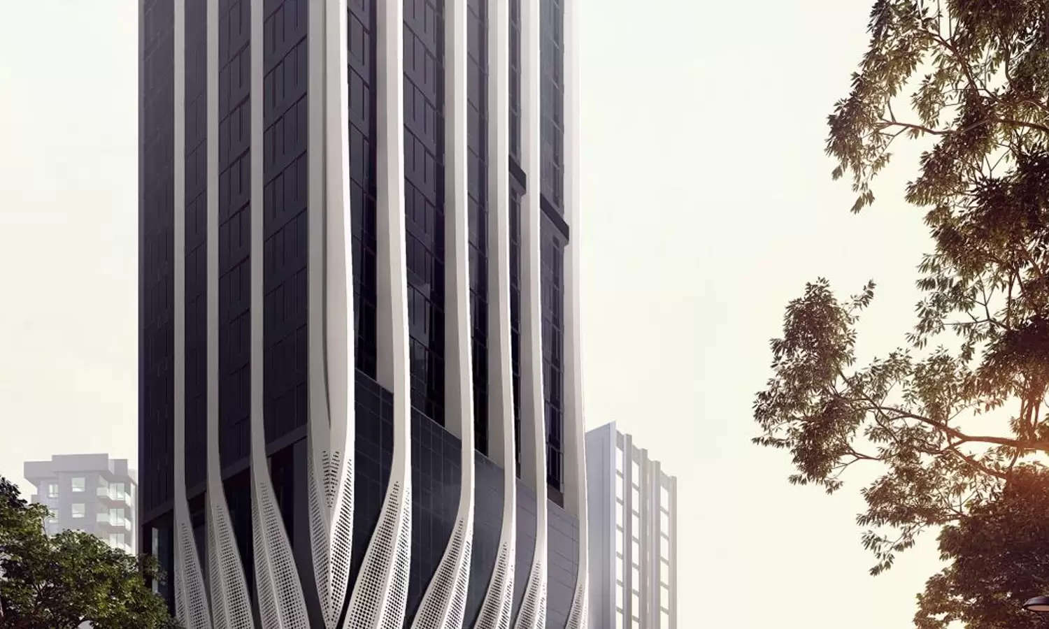 Elevation Image