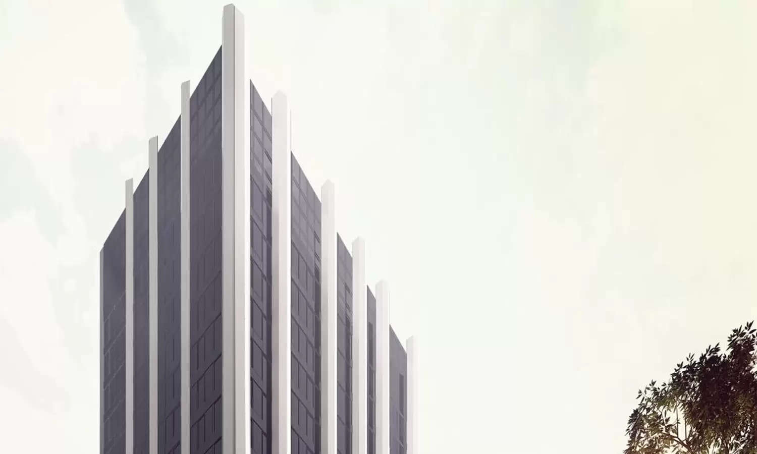 Elevation Image