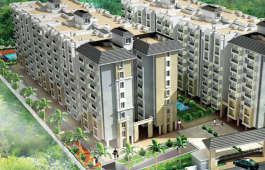 elegant-whispering winds