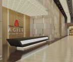 Agile Baner - Others
