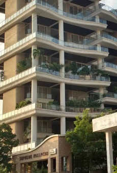 Supreme Pallacio