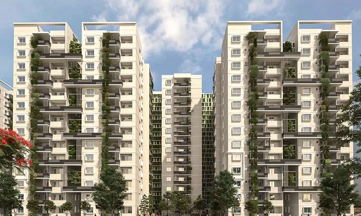 Elevation Image