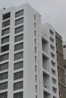 Geras Verbena High Rise
