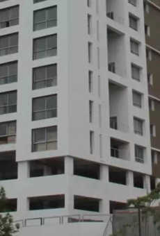 Geras Verbena High Rise