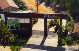 the-classic bulwark village