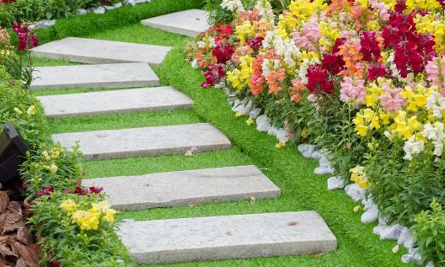 Outdoor Space