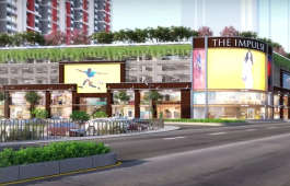 shapoorji-pallonji the impulse