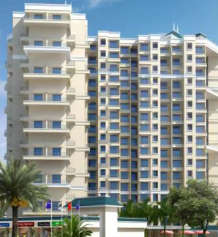 mohan-areca