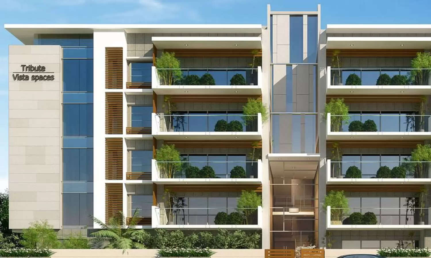 Elevation Image