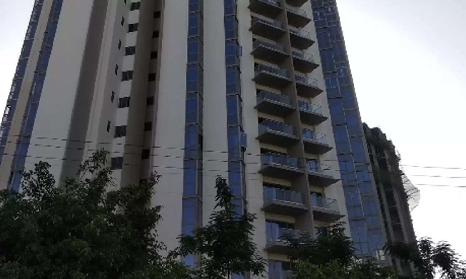 Elevation Image